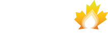 BVD Petroluem logo